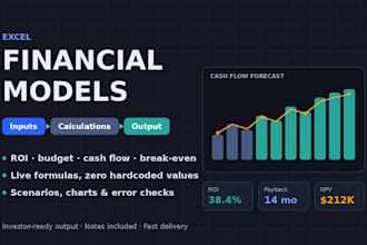 build a custom excel financial model, ROI or budget analysis