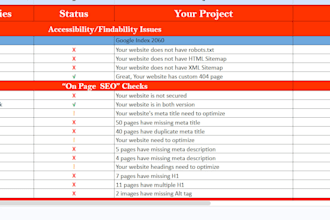 audit your website for you