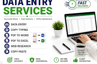do accurate data entry, copy typing, PDF to word and excel