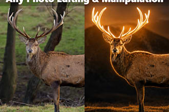 do photo editing, photo manipulation and ai image editing