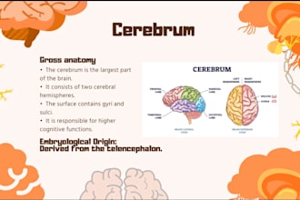 make professional medial presentations for both students and teachers