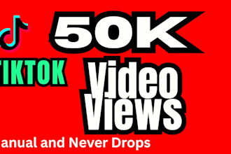 add organic 100k tik tok video views