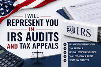 represent you in irs audits and tax appeals