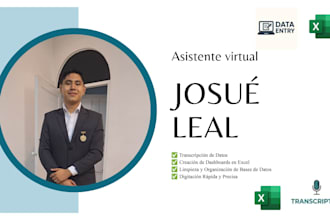 ser tu asistente virtual para digitación de datos, excel y transcripción