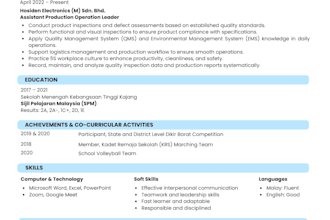 design a professional, ats friendly resume and CV