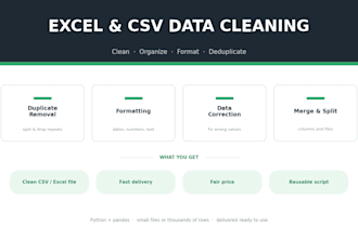 clean, organize and format your excel and CSV data