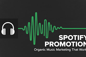 setup spotify campaign spotify promotion music promotion for your spotify track