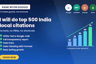 do top 500 india local citations