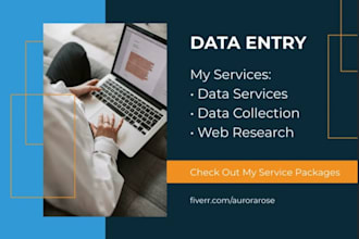 do professional data entry and virtual assistant work