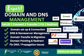 domain transfer, connection, migration, pointing, redirect and dns management