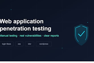 perform a web application penetration test