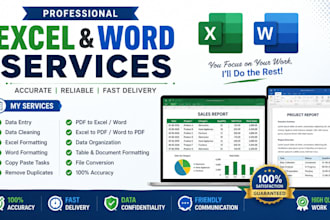 excel and word expert data cleaning formatting specialist