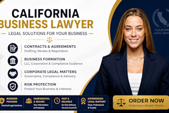 provide california business legal consulting for contracts and corporate matters