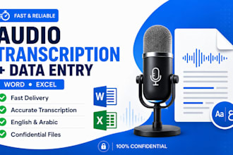 excel data entry writing eassy project
