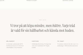 provide accurate swedish to english and english to swedish translation