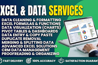 do excel data cleaning, formatting, formulas, visualization and data entry