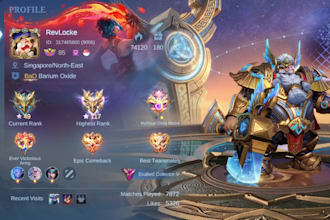coach you to easily climb ranks