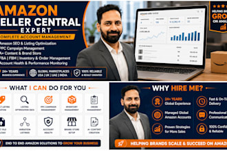 amazon account, excel automation, financial reporting, marketplace consulting