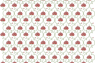 do vector tracing in illustrator or corel draw