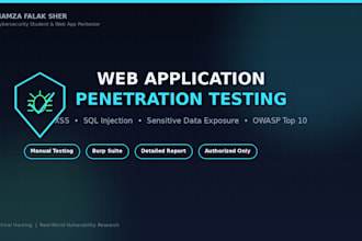 perform web application penetration testing
