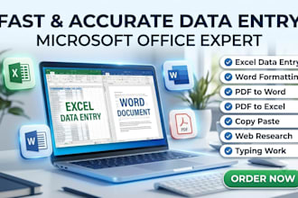 do fast and accurate data entry and ms office tasks
