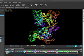 perform MD simulations of proteins, modified proteins and ligand complexes