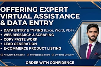do professinal data entry and copy paste work