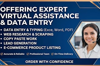 do professinal data entry and copy paste work
