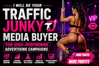 be your traffic junky media buyer for high performing advertising campaigns