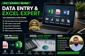 microsoft excel data entry, PDF to excel, and copy paste