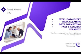 deliver accurate data entry, cleaning, and formatting services