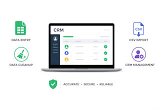 do CRM data entry cleanup and CSV import