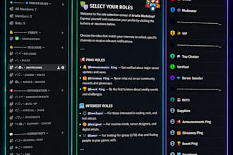 setup a professional discord server with automated systems