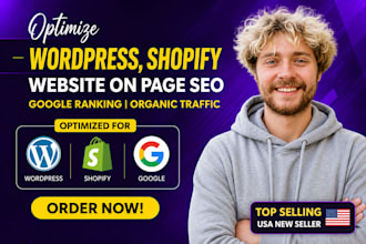 optimize wordpress, shopify website on page seo google ranking organix traffic