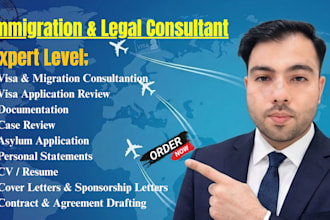 provide immigration visa consultation and legal documents drafting