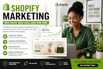 do shopify store marketing promotion mentor ecommerce dropshipping sales traffic
