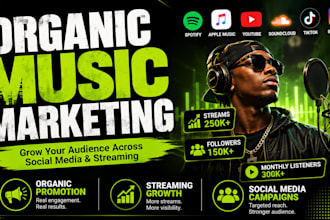 run an organic music marketing campaign across social media and streaming