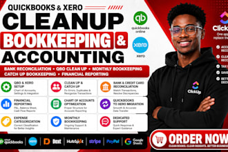 quickbooks online xero bookkeeping accounting bank reconciliation qbo clean up