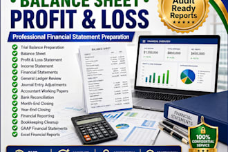 prepare trial balance balance sheet and profit loss reportsd