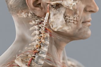 draw detailed medical illustrations