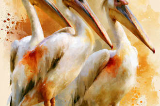 create hand painted watercolor animal illustrations