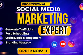 be your social media manager, social media marketing manager and content writer
