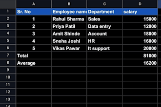 be your professional data entry expert