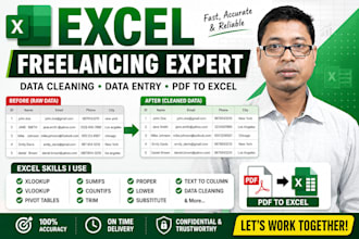 clean, format and organize excel data,
