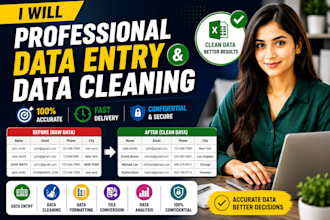 professional data entry and data cleaning
