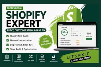 do shopify seo audit, theme customization, shopify bug fix, error 404