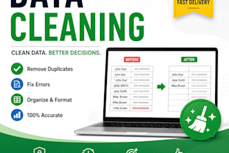 do perfect data cleaning in limited time