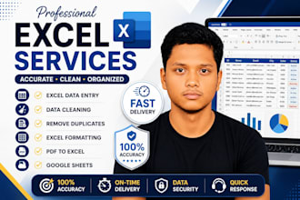 professionally clean and organize up to 1000 records, including data correc