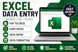 do excel data entry services
