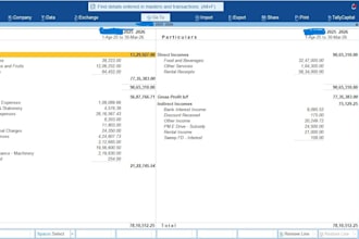 set up and maintain your books in tally prime